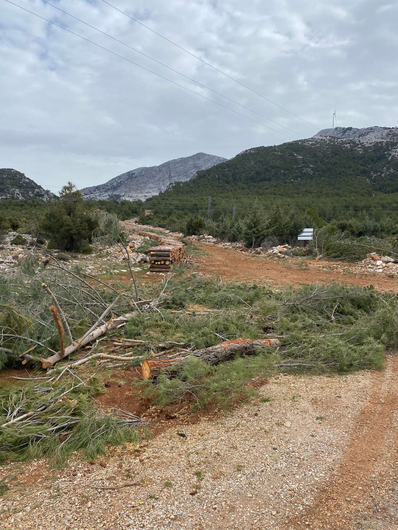 CHP İl Başkanı Kızıl'ın Muğla – Göktepe Yolu Tepkisi: Çalışmalar Neden Başlamadı? 3